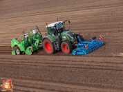 Planting potatoes