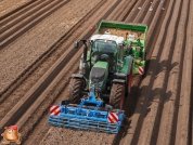 Planting potatoes