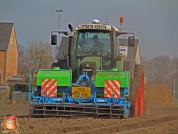 Planting potatoes