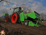 Planting potatoes