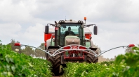 bureaublad achtergronden van van den borne aardappelen