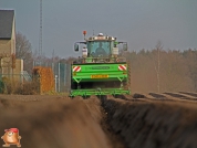 Planting potatoes