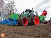 Planting potatoes