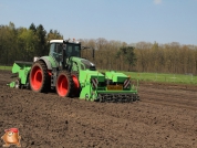 Planting potatoes