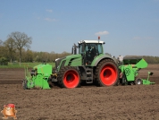 Planting potatoes