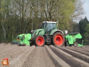 Planting potatoes