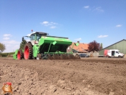 Planting potatoes