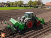 Planting potatoes