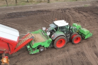 Planting potatoes