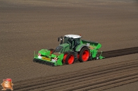 Planting potatoes