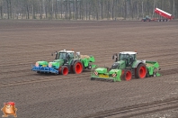 Planting potatoes