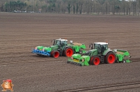 Planting potatoes