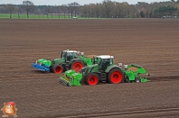 Planting potatoes