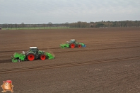 Planting potatoes