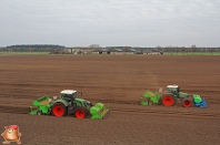 Planting potatoes