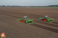 Planting potatoes