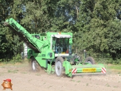 Kartoffelroden bei van den Borne Aardappelen.