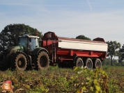 Harvesting potatoes