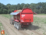 Harvesting potatoes