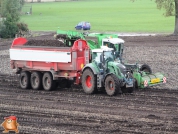 Harvesting potatoes