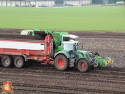 Harvesting potatoes