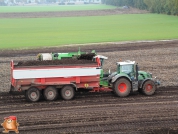 Harvesting potatoes