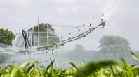 bureaublad achtergronden van van den borne aardappelen