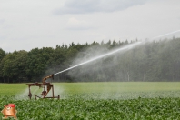 Beregnen bei van den Borne aardappelen