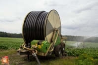 Beregnen bei van den Borne aardappelen