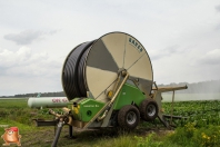 Beregnen bei van den Borne aardappelen