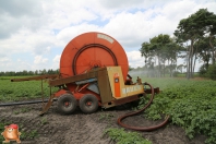 Beregenen bij van den Borne aardappelen