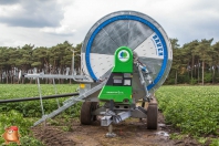 Beregnen bei van den Borne aardappelen