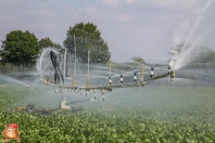 Bauer E51 xl beregeningshaspel bij van den Borne aardappelen