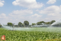 Beregnen bei van den Borne aardappelen