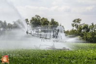 Bauer E51 xl beregeningshaspel bij van den Borne aardappelen