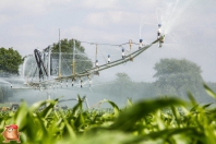 Bauer E51 xl beregeningshaspel bij van den Borne aardappelen