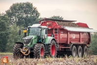 Kartoffelroden bei van den Borne Aardappelen.