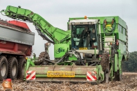 Kartoffelroden bei van den Borne Aardappelen.