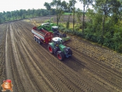 Harvesting potatoes