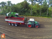 Harvesting potatoes