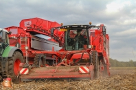 Kartoffelroden bei van den Borne Aardappelen.