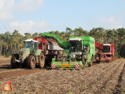 Aardappelen rooien met houbraken