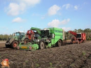 Aardappelen rooien met houbraken