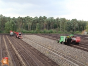 Aardappelen rooien met houbraken