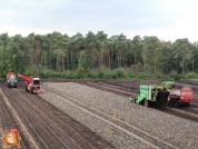 Aardappelen rooien met houbraken