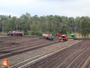 Aardappelen rooien met houbraken