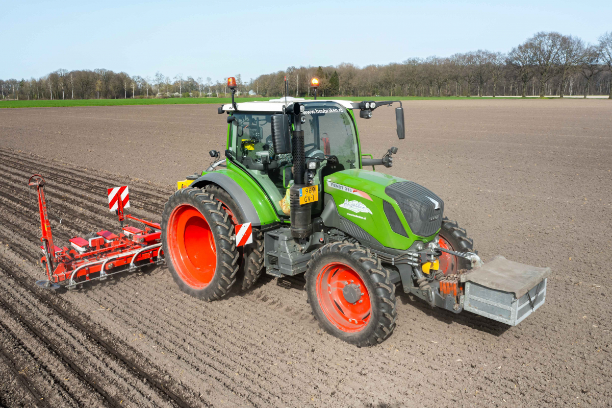 Sowing beets