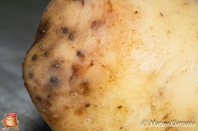 Bacterieziekten