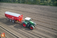 Harvesting potatoes