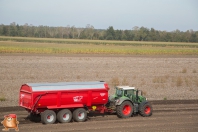 Harvesting potatoes